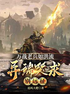 万战老兵如洪流，异端哭求别远征章节列表