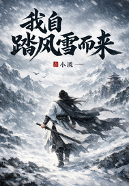 我自踏风雪而来章节列表