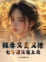 辣妻又美又撩，七零硬汉宠上天章节列表