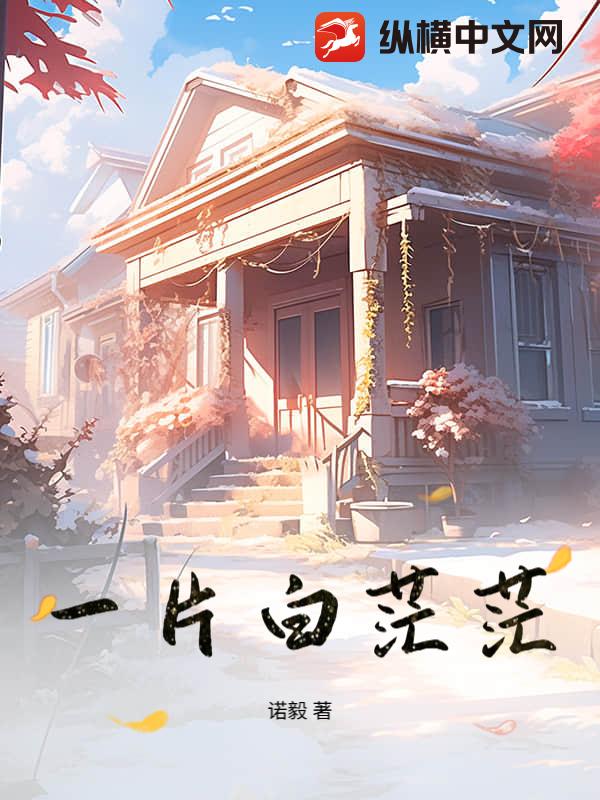 一片白茫茫章节列表