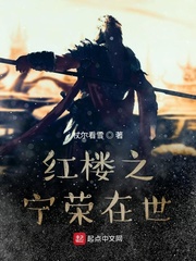 红楼之宁荣在世章节列表