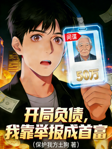 开局负债，我靠举报成首富章节列表