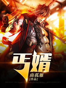 丐婿章节列表