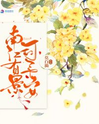 南江有景司予安章节列表