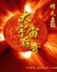 大宇宙存奇章节列表