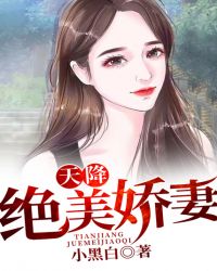 天降绝美娇妻章节列表