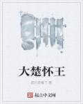 大楚怀王章节列表