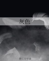灰色章节列表