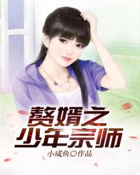 赘婿之少年宗师章节列表