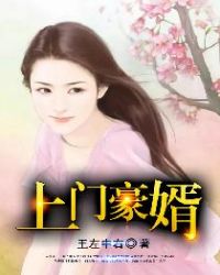 上门豪婿章节列表