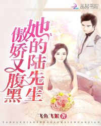 她的陆先生傲娇又腹黑章节列表