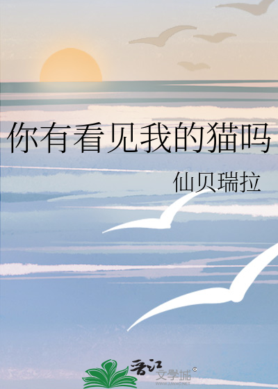 你有看见我的猫吗章节列表