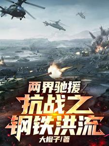 两界驰援：抗战之钢铁洪流章节列表