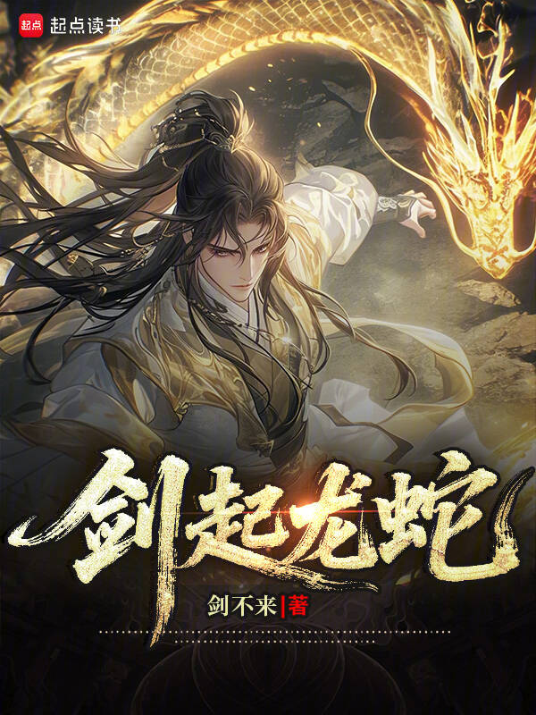 剑起龙蛇章节列表
