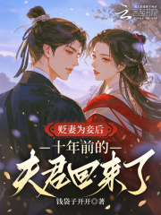 贬妻为妾后，十年前的夫君回来了章节列表