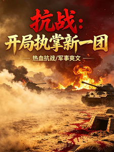抗战：开局执掌新一团章节列表