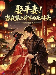 娶平妻！当夜攀上将军的死对头章节列表