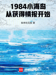 1984小海岛，从获得情报开始章节列表