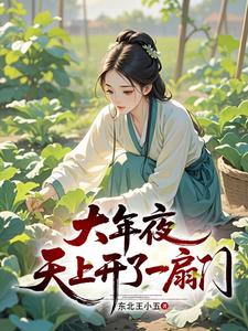 大年夜，天上开了一扇门章节列表