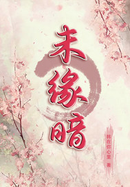 未缘暗章节列表