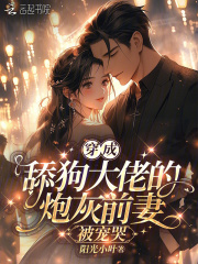 穿成舔狗大佬的炮灰前妻，被宠哭章节列表