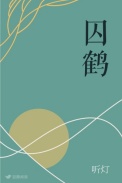 囚鹤BY听灯章节列表