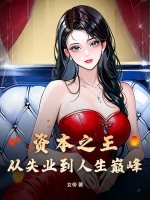 资本之王：从失业到人生巅峰章节列表