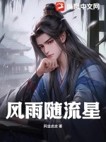 风雨随流星章节列表