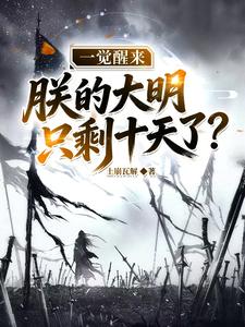 一觉醒来，朕的大明只剩十天了？章节列表