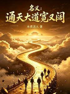 名义：通天大道宽又阔章节列表
