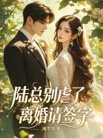 陆总别虐了，离婚请签字章节列表