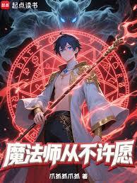 魔法师从不许愿章节列表