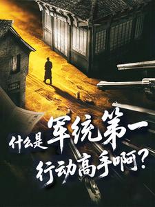 什么是军统第一行动高手啊？章节列表
