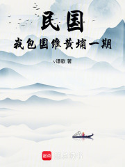 民国，我包国维黄埔一期章节列表