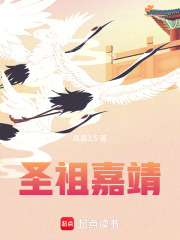 圣祖嘉靖章节列表