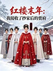 红楼末年：我接收了抄家后的贾府章节列表