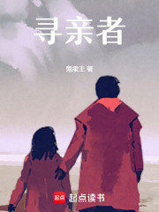 寻亲者章节列表