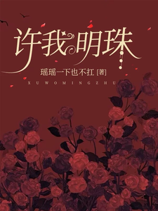 许我明珠章节列表