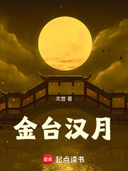 金台汉月章节列表