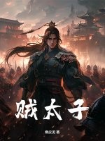 贼太子章节列表