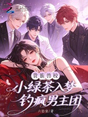 贵族兽校小绿茶，入梦钓疯男主团章节列表