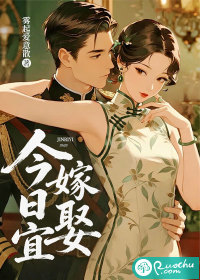 今日宜嫁娶章节列表