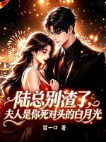 陆总别渣了，夫人是你死对头的白月光章节列表
