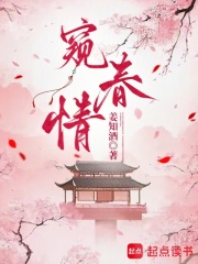 窥春情章节列表