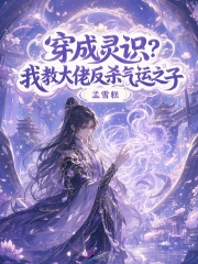穿成灵识？我教大佬反杀气运之子章节列表