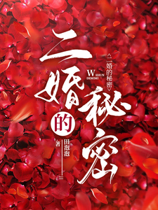 二婚的秘密章节列表