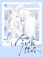 今日宜结婚章节列表