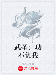 武圣：功不负我章节列表