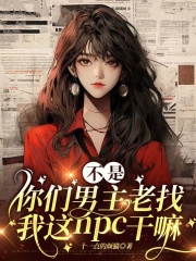 不是你们男主老找我这NPC干嘛章节列表