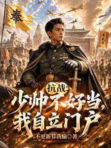 抗战：少帅不好当，我自立门户章节列表